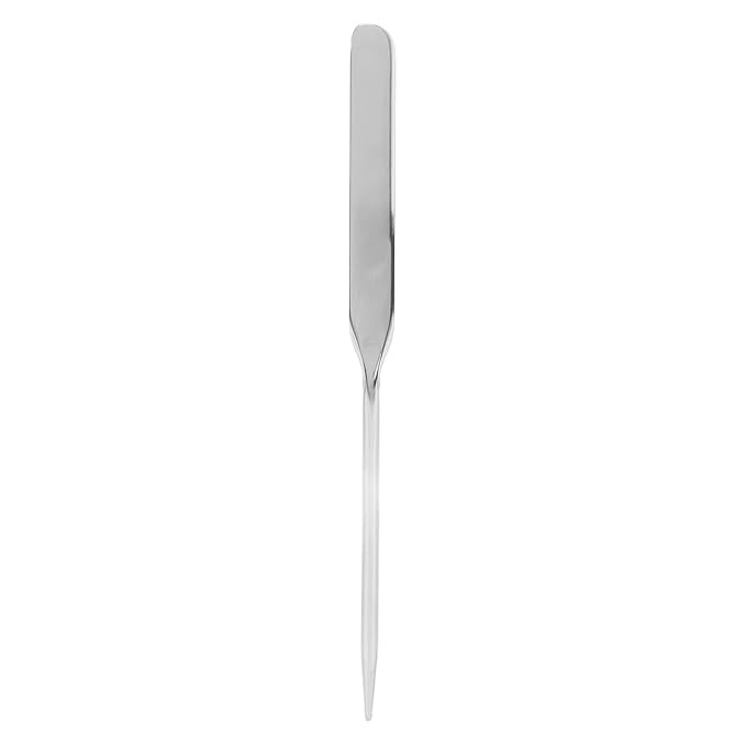 Stainless Steel Makeup Spatula for Professional, Makeup Spatula Ergonomic Nail Art Stirring Tool Facial Mixing Stick Makeup Artist Makeup Tool Beauty Spatula Nail Art Makeup Stirring Rod-VivaGrace Women