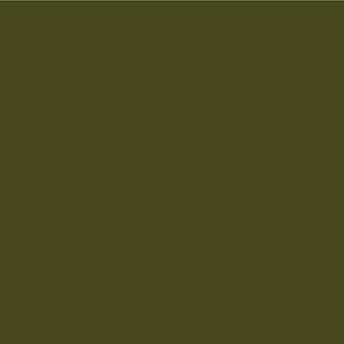 Palladio Retractable Waterproof Eyeliner, Richly Pigmented Color and Creamy, Slip Twist Up Pencil Eye Liner, Smudge Proof Long Lasting Application, All Day Wear, No Sharpener Required, Olive