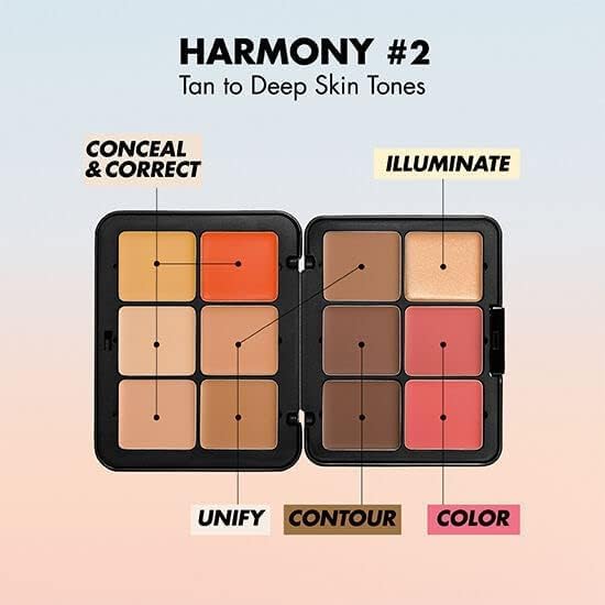 HD Skin All In One Palette - Harmony 2 by Make Up For Ever for Women - 0.9 oz Palette-VivaGrace Women