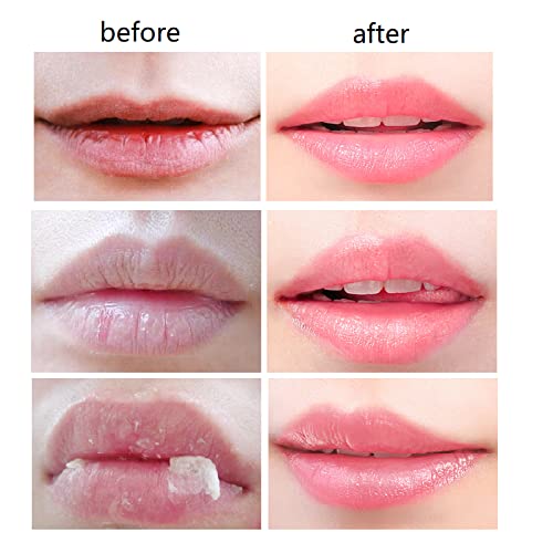 4 PCS Bee Lip Balm Honey Pot,Honey Lip Mask,Honey Propolis Lip Mask Moisturizing Moisture Nourishing Dry & Chapped Lips,Lip Care and Reduces Lip Lines,Lip Exfoliating-VivaGrace Women
