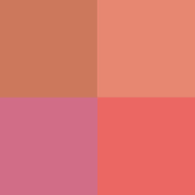 FITGLOW Beauty – Ceramide Cream Lip + Cheek Palette | Vegan, Woman-Owned Clean Beauty (Freshly Picked)-VivaGrace Women