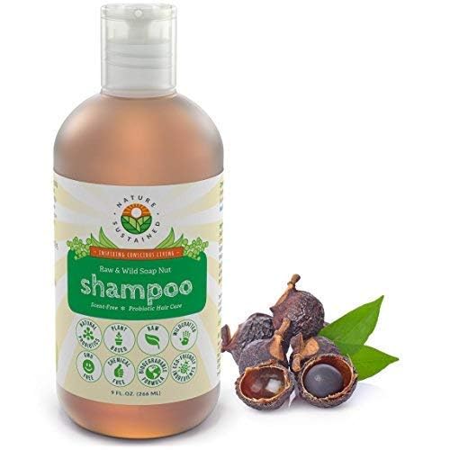 Natural Shampoo - Organic, Raw & Wildcrafted with Probiotics, Hypoallergenic Natural & Sulfate Free Shampoo for Sensitive Scalp, Dry Hair, Dandruff, Eczema & Psoriasis, 9oz, Original-VivaGrace Women