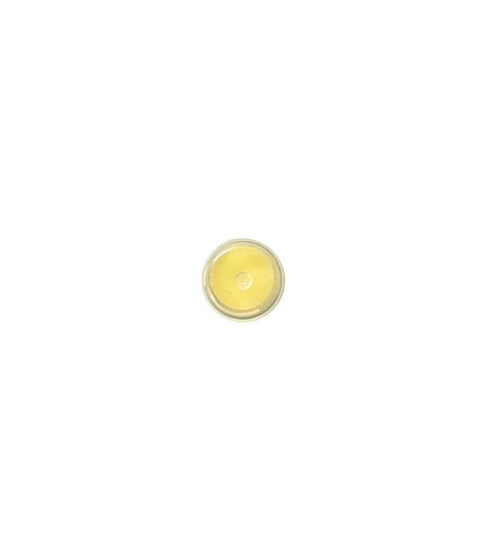 LIP BALM Mongo Kiss 6-Pack by Eco Lips 100% Organic Beeswax & Cocoa Butter Lip Care with Mongongo Oil - Soothe & Moisturize Dry & Cracked Lips - Made in USA. (Unflavored)-VivaGrace Women