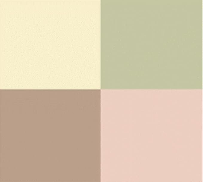 DR HAUSCHKA Colour Correcting Powder 00, 8 GR-VivaGrace Women