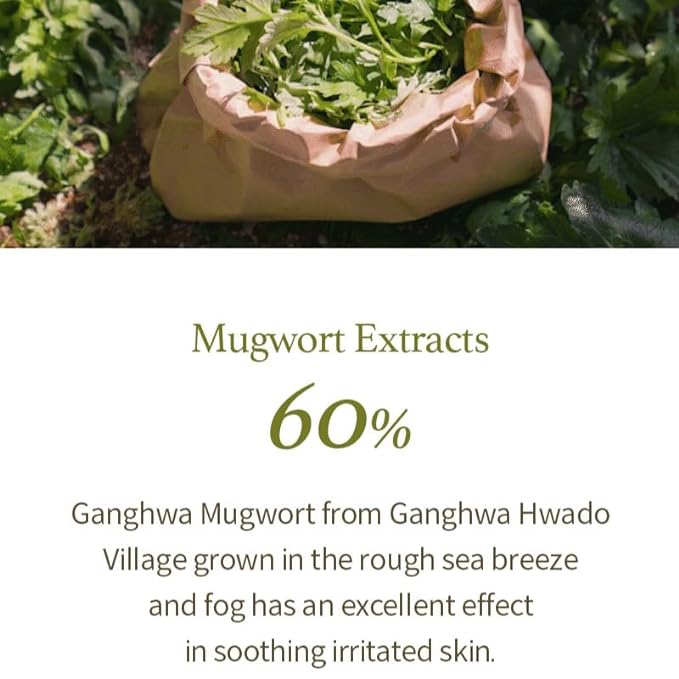 I'm from Mugwort Gel Cleanser 150ml, Mugwort 60%, Calming, Soothing, Mild low pH Korean Face Wash for Sensitive Skin, Irritated Skin, Herbal, Hypoallergenic, Vegan