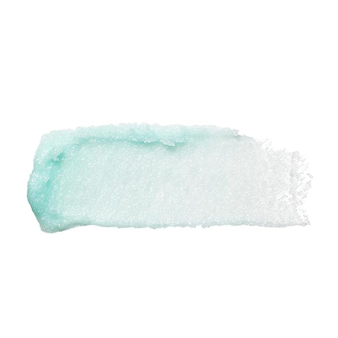 e.l.f. Lip Exfoliator, Mint Maniac, 0.11 oz. (82512), 2 Pack-VivaGrace Women