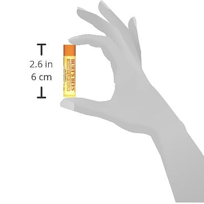 Burt's Bees Honey Moisturizing Lip Balm 0.15 oz (Pack of 12)-VivaGrace Women