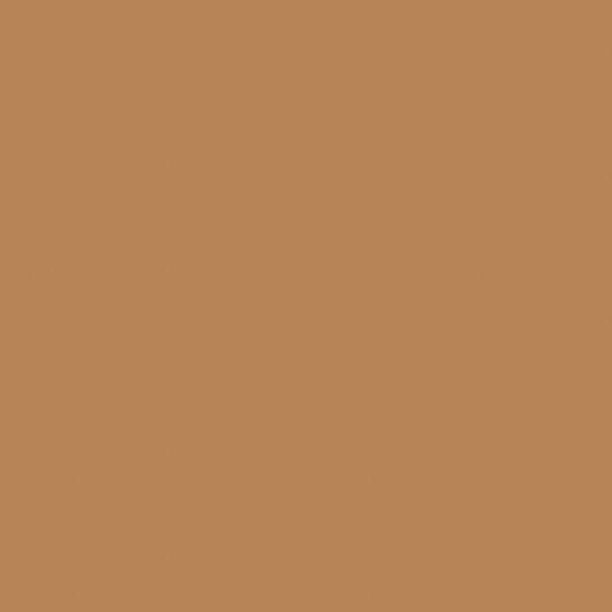 COVERGIRL TruBlend Matte Made Liquid Foundation, Warm Sun (Pack of 4)-VivaGrace Women