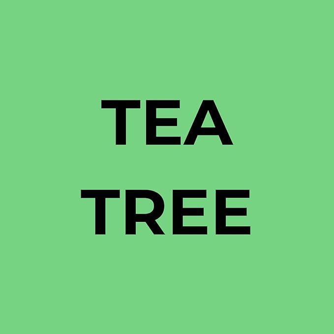 Soapbox Tea Tree Shampoo and Conditioner Set, Scalp Balancing with Tea Tree Oil, Jojoba Oil, Aloe and Shea Butter to Clean and Purify for All Hair Types, 1 Liter Each (Pack of 2)-VivaGrace Women