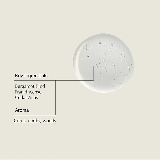 Aesop Shampoo & Conditioner Set | Hydrates, Softens, & Adds Shine | All Hair Types | 16.9 oz / 500mL-VivaGrace Women
