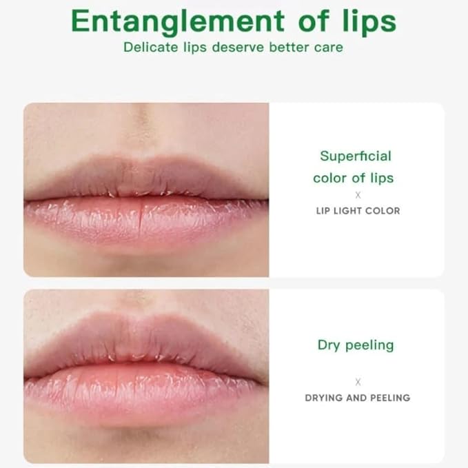 Avocado Lip Balm Vitamin E Conditioning Lip Stick Moisturizing Lips Reduce Fine Lines Relieve Dryness Long-Lasting Protection Nourishing Lip Care-VivaGrace Women