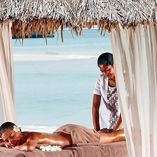 Pure Fiji Spa Gifts for Women and Man - Body Gift Box Include: Sugar Scrub, Bath and Body Oil, Body Butter and Body Lotion, Scent Mango-VivaGrace Women