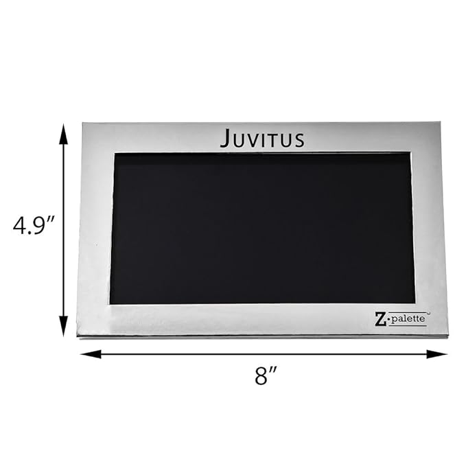 Z Palette Large Metallic Collection (Metallic Silver) with 20 Piece Metal Stickers - Made Exclusively for JUVITUS-VivaGrace Women