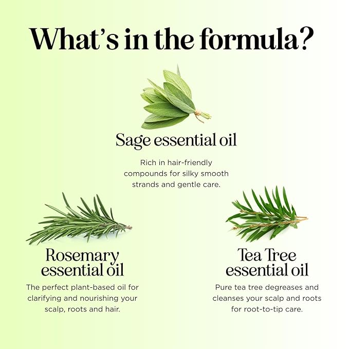 Sulfate Free Shampoo and Conditioner Set - Tea Tree Sage and Rosemary Shampoo and Conditioner for Dry Flaky Scalp Care - Deep Cleansing Color Safe Shampoo and Conditioner for Damaged Dry Hair Care-VivaGrace Women