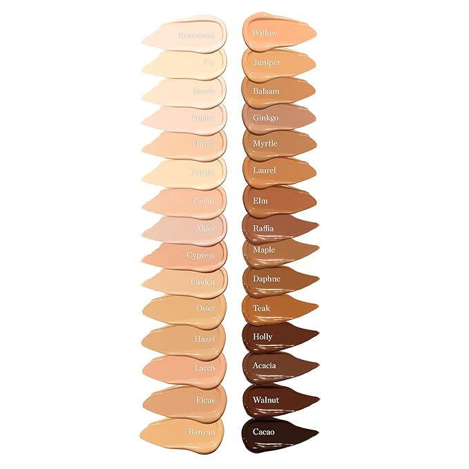 Ogee Complexion Perfecting Under Eye Concealer - Certified Organic Full Coverage Concealer - Buildable Coverage - MAPLE 8.25N - Medium Deep (Golden-Bronze Undertones)-VivaGrace Women
