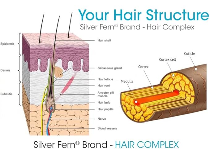 Silver Fern Hair Complex Hair Supplement for Promoting Healthy Hair - Each Bottle Contains 30 Days of Powder Supply - 2 Bottles-VivaGrace Women