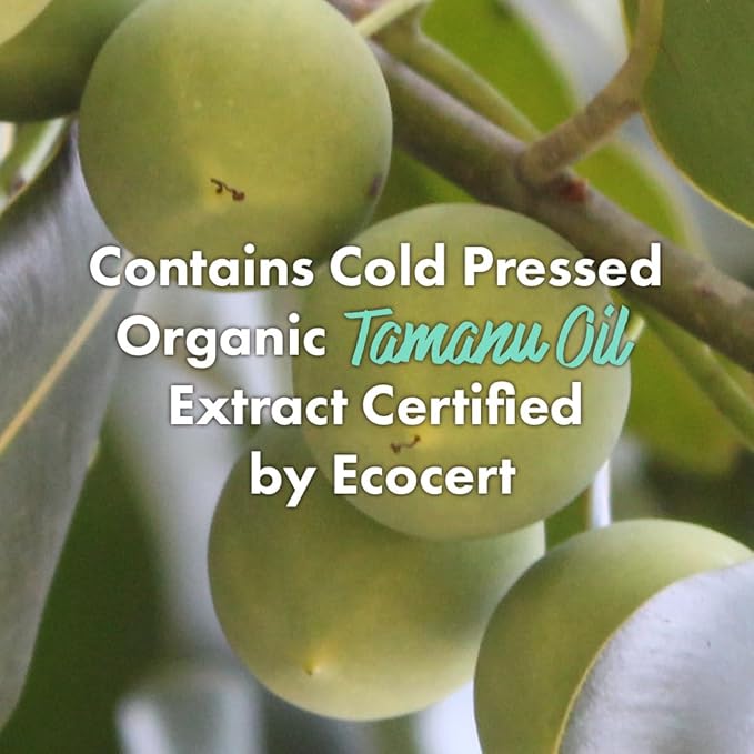 RATED GREEN Cold Press Tamanu Oil Soothing Scalp Pack w. Black Currant | Organic Tamanu Oil, Turmeric | Deep Relief Mask for Irritated Scalp | Silicone-Free, Korean Vegan Formula | 6.76 Fl. Oz-VivaGrace Women