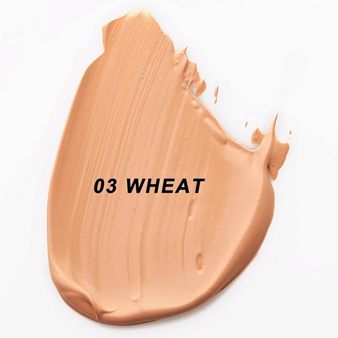 Mushroomhead Air Cushion CC Cream Flawless Foundation Natural BB Full Coverage Blemishes Long Lasting Waterproof,Multi-Function Beauty With Brush (-VivaGrace Women