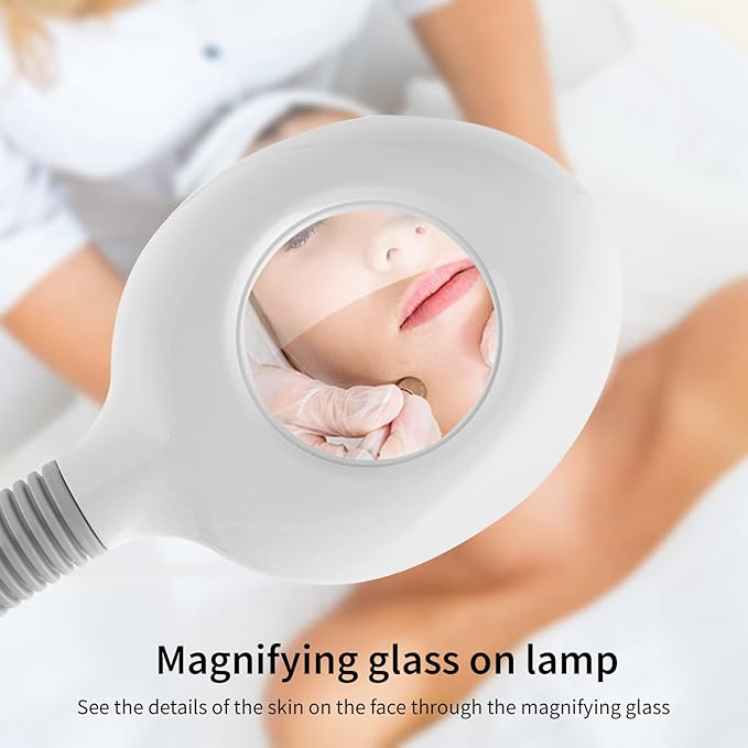 Winado 2 in 1 Facial Steamer with 5X Magnification Light, Deep Cleaning for Personal Skin Care, Beautician Steamer Professional Humidifier Facial Spa Mist Steam for Home & Beauty Salon, White-VivaGrace Women