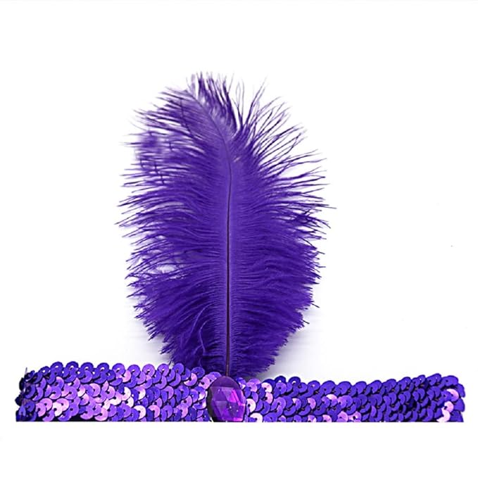 Carnival hair accessories purple and green Sequins Feather Headpiece 1920s Party Feather Headband-VivaGrace Women