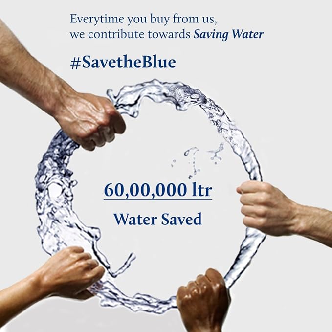 Blue Nectar Ayurvedic Orange Lip Balm with Organic Ghee & Natural Vitamin C for Dry Lips | Moisturizing Lip Gloss with Clean Ingredients (0.35 oz, 10 Herbs)-VivaGrace Women