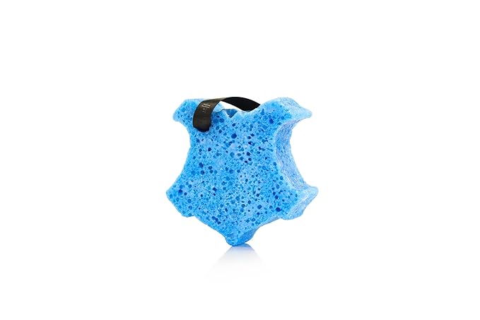 Spongelle Harry Potter Ravenclaw Body WASH Infused Buffer- ROWENA'S Wisdom