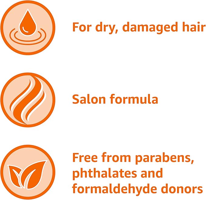 Amazon Basics Moisture Rich Conditioner, 28 Fluid Ounce-VivaGrace Women