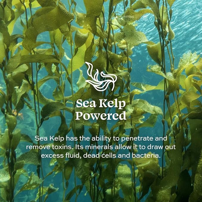 Aleavia Unscented Prebiotic Body Lotion – Fragrance-Free, All-Natural Moisturizing Body Lotion – Sulfate-Free Lotion for Sensitive Skin – 12 Oz-VivaGrace Women