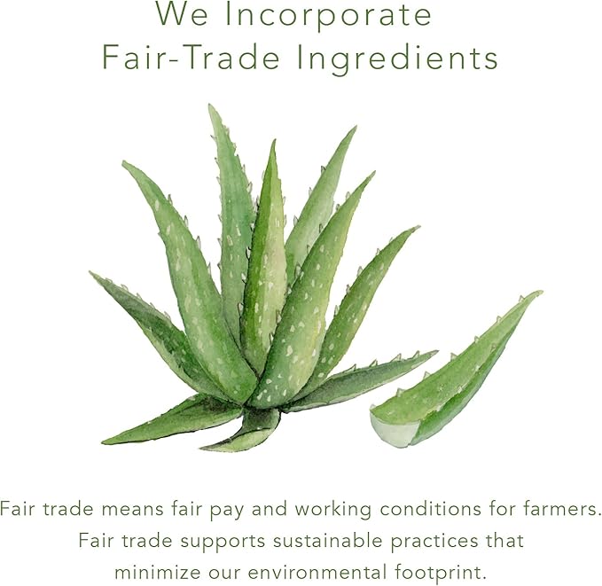 emerginC Scientific Organics Eyelight Cream - Stem Cell Eye Cream with Antioxidants - Anti-Aging Eye Cream Targets Dark Under-Eye Circles for Visible Glow (0.5 oz, 15 ml)-VivaGrace Women