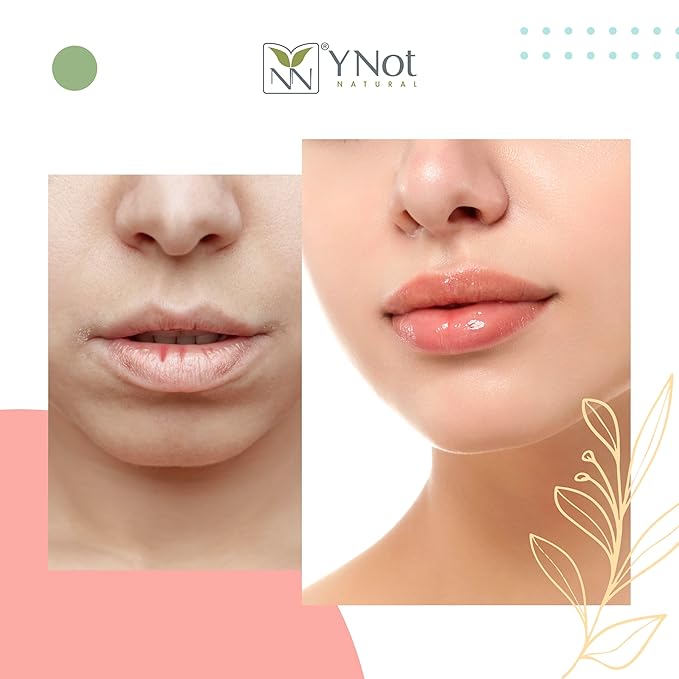 YNN Emu Oil Moisturizing Lip Balm with Extreme SPF50+ Sun Protection - 4-Hour Water Resistant, Fortified with Vitamin E, Amino Acids & Omega 3, 6 & 9 - Y-Not Natural, 15g Stick - 2 Pack-VivaGrace Women