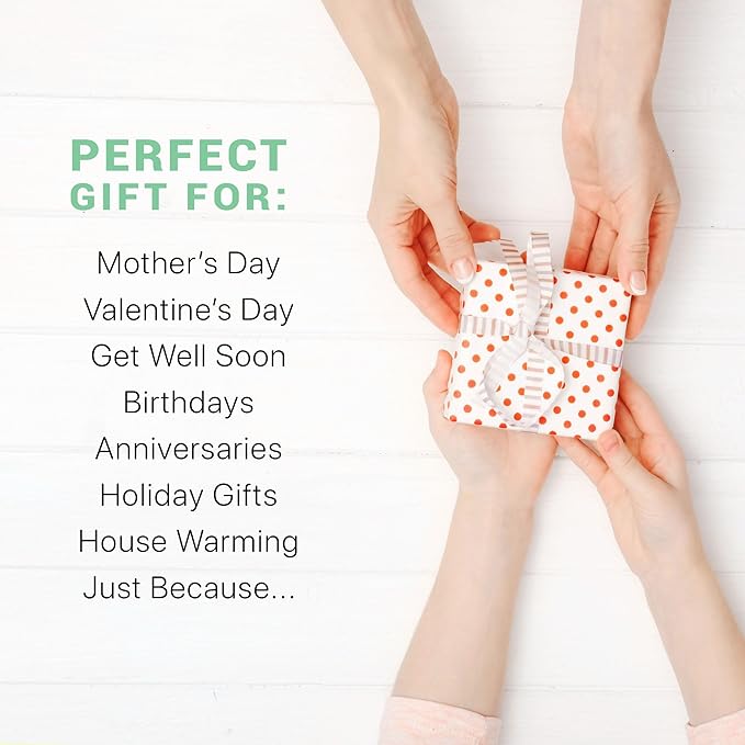 Organic Lip Scrub Mint - USA Made Exfoliating Lip Scrub with Natural & Organic Ingredients, Moisturizing Lip Exfoliator Scrub for Dry Lips, Lip Scrubber Exfoliator & Sugar Scrub for Smooth Lips-VivaGrace Women