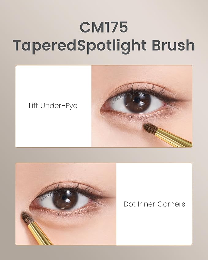 Desert Oak Series Tapered Spotlight Brush - Precision Pony Hair Brush for Inner Corner & Under-Eye Highlighting, Bubinga Handle & Gold Ferrule (CM 175)-VivaGrace Women
