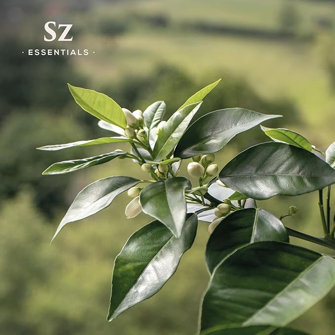 Petitgrain Sur Fleurs Essential Oil - 100% Pure and Undiluted - Extracted from Neroli-Bitter Orange Tree - Citrusy & Woody Scent with Fresh Neroli Floral Overtones - Therapeutic Grade-VivaGrace Women