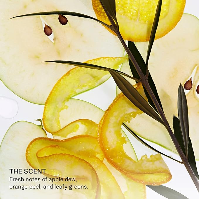 SEEN Shampoo - Scented - Non-Comedogenic & Sulfate-Free Hair Shampoo- Dermatologist-Developed - Safe for Sensitive & Acne Prone Skin-VivaGrace Women