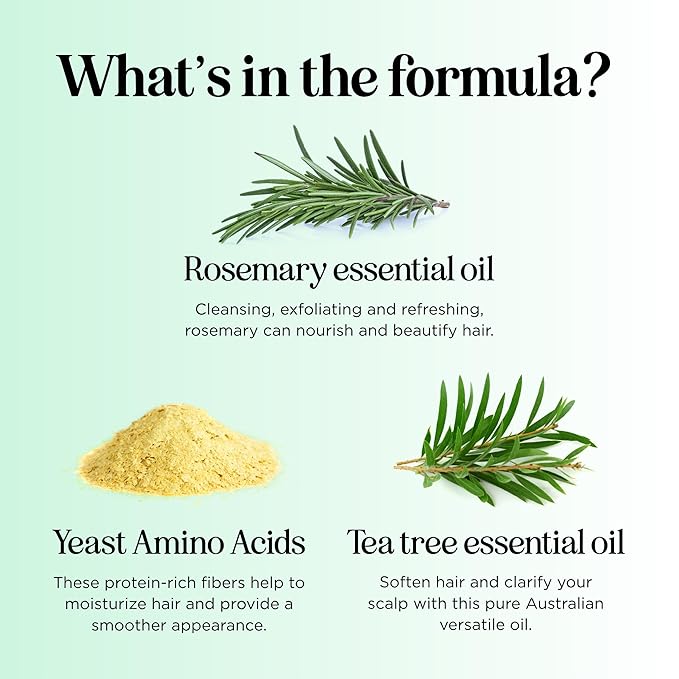 Shampoo and Conditioner for Oily Hair and Scalp - Sulfate and Paraben Free Shampoo and Conditioner Set for Oily Hair with Deep Cleansing Tea Tree Oil - Vegan Color Safe & Cruelty Free (16 Fl Oz)-VivaGrace Women