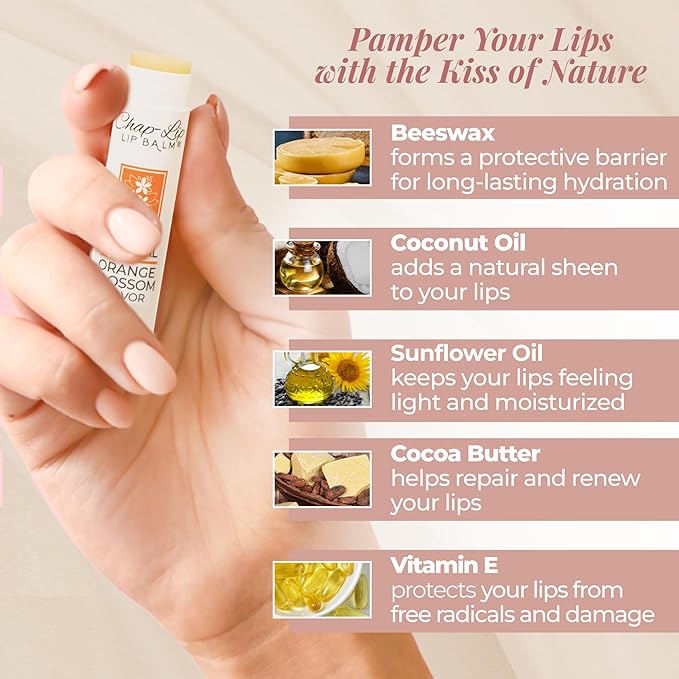 100% Natural Lip Balm Set, Hydrating and Moisturizing Beeswax Natural Flavor Assortment, Lip Moisturizer for Dry Lips, Cocoa Butter, Petroleum Free, 24 Count, 2Pack-VivaGrace Women