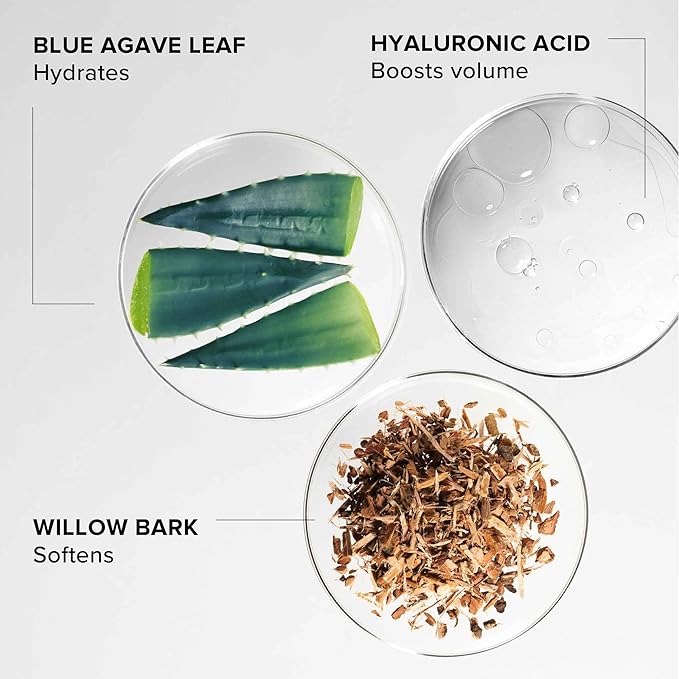 Alpyn Willow & Sweet Agave Plumping Lip Mask | Hydrating Daily Lip Mask Treatment For Fuller, Softer, Smoother & More Supple Lips | 0.35 oz / 10 g-VivaGrace Women