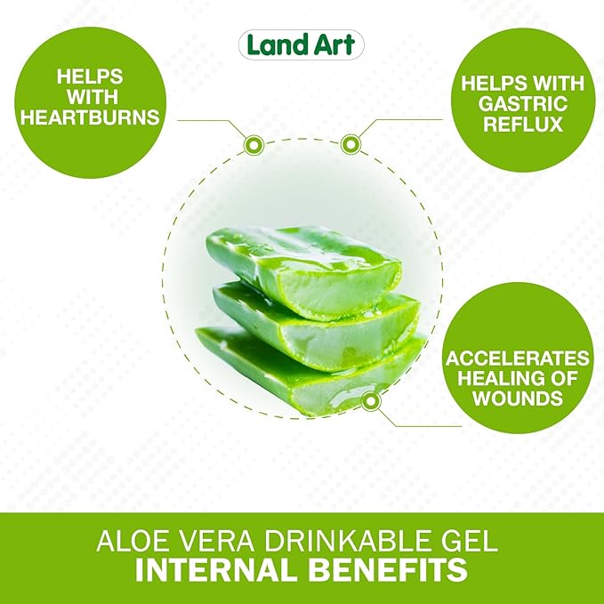 Pure Aloe Vera Drinkable Gel - Orange Tangerine Flavored - Cold-Processed Inner Filet - from Organic Fresh Leaves from Texas - for Heartburn Relief - Acid Reflux - 64 fl oz-VivaGrace Women