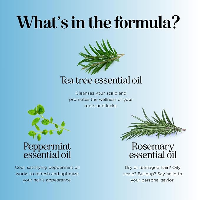 Tea Tree Mint Shampoo and Conditioner - Tea Tree Rosemary Mint Shampoo and Conditioner Set Sulfate Free for Daily Clarifying and Dry Scalp Care - Paraben and Sulfate Free Shampoo and Conditioner 16oz-VivaGrace Women