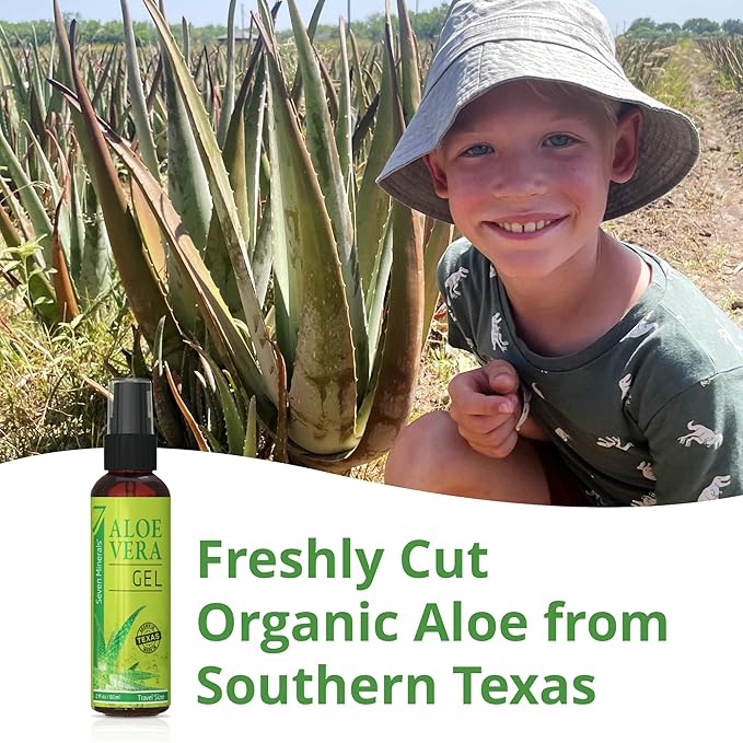 Seven Minerals, Travel Size Organic Aloe Vera Gel from freshly cut 100% Pure Aloe - 2 Fl Oz - HighestQuality, Texas grown, Vegan, Unscented - For Face, Skin, Hair, Sunburn relief (2 Fl Oz)-VivaGrace Women