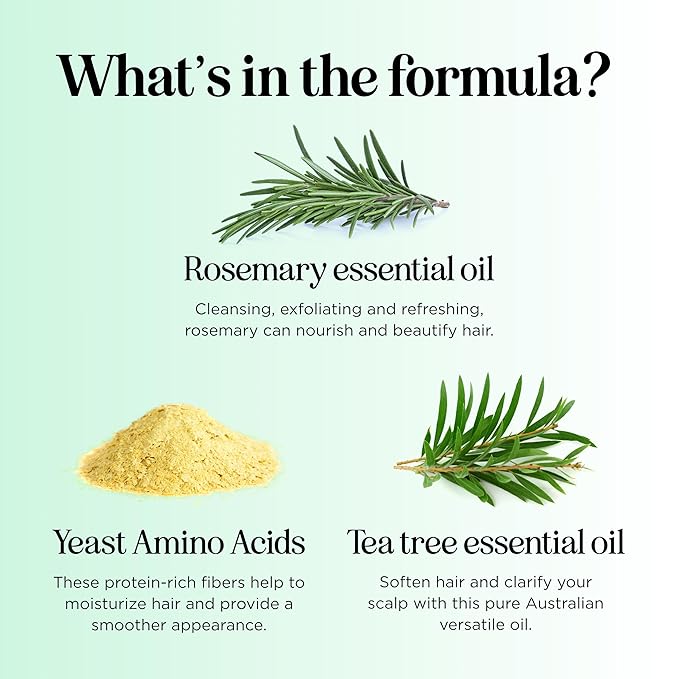 Shampoo and Conditioner for Oily Hair and Scalp - Sulfate and Paraben Free Shampoo and Conditioner Set for Oily Hair Care with Deep Cleansing Tea Tree Oil - Color Safe & Cruelty Free (8 Fl Oz)-VivaGrace Women