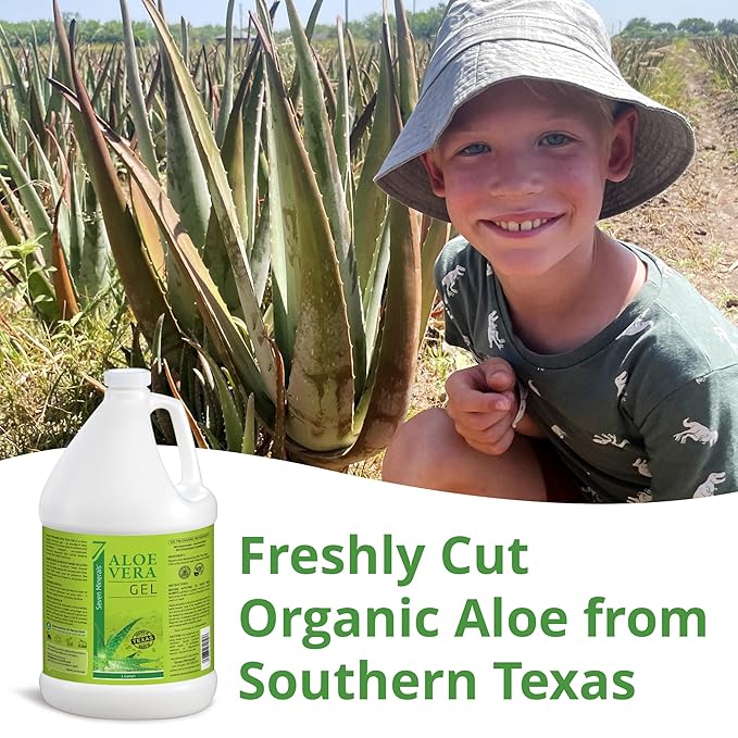 Seven Minerals Organic Aloe Vera Gel from freshly cut 100% Pure Aloe - 1 Gallon - HighestQuality, Texas grown, Vegan, Unscented - For Face, Skin, Hair, Sunburn Relief - Bulk DIY (128 Fl Oz)-VivaGrace Women