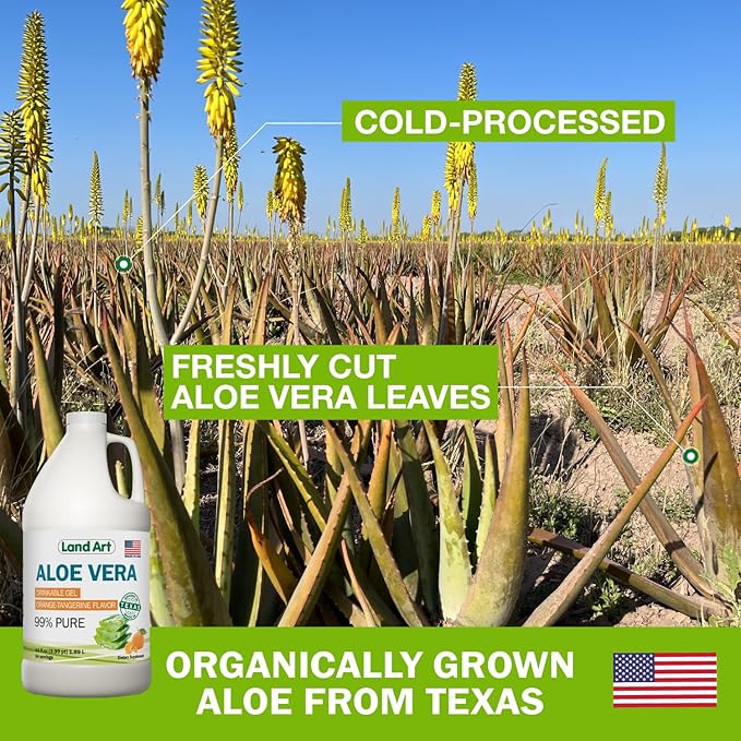 Pure Aloe Vera Drinkable Gel - Orange Tangerine Flavored - Cold-Processed Inner Filet - from Organic Fresh Leaves from Texas - for Heartburn Relief - Acid Reflux - 64 fl oz-VivaGrace Women
