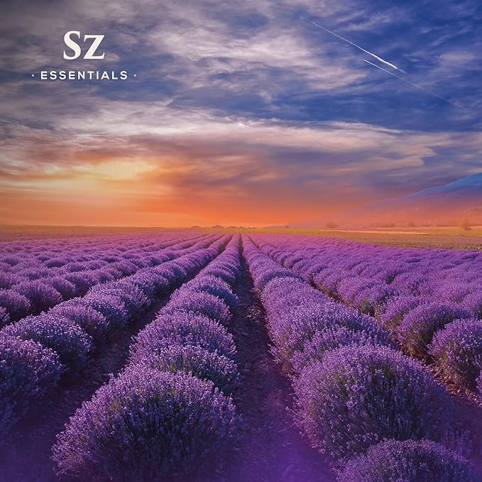 Kashmir Lavender Essential Oil – 100% Pure & Undiluted – Sweet Floral Scent for Relaxation, Aromatherapy, Self-Care, Natural Perfumery – Vegan & Therapeutic – 0.22 fl oz (6.5 mL)-VivaGrace Women