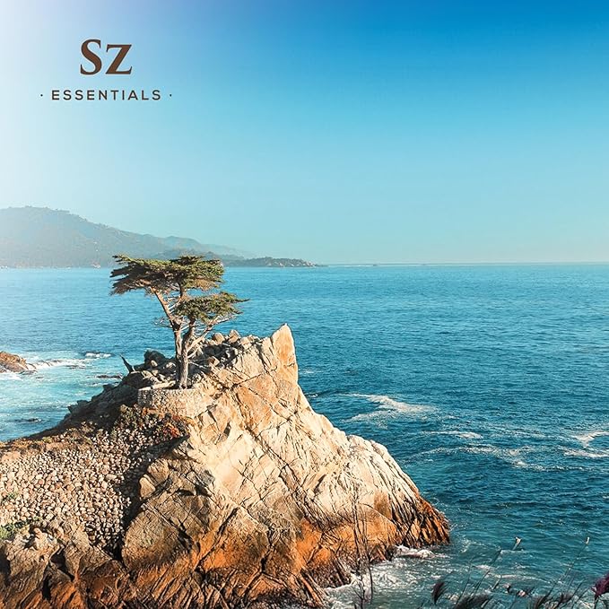 Cypress Essential Oil (Cupressus sempervirens) - 100% Pure & Undiluted - Fresh Crisp & Woody Aroma with Overtones of Earth and Evergreen - Therapeutic Grade and Vegan - 0.17 oz (5ml)-VivaGrace Women