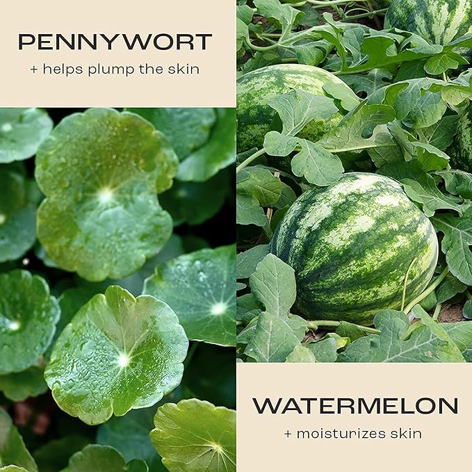 Firm Believer: 30ml Under Eye Cream with Vitamin C - Puffiness, Dark Circles, Eye Bags, Fine Lines and Wrinkles Reducer - Anti-Aging Eye Creams and Skin Care for Men and Women-VivaGrace Women