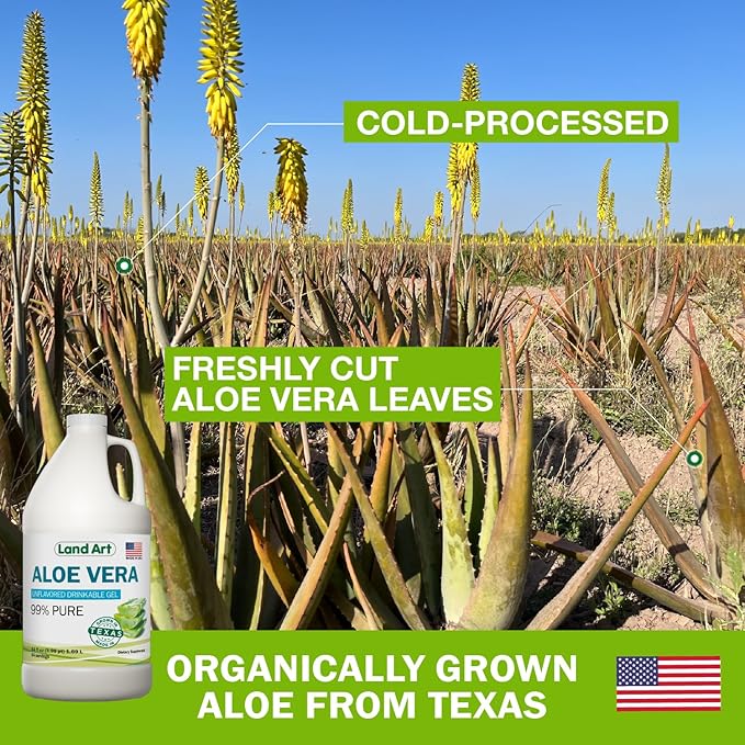 Organic Aloe Vera Drinkable Gel for Heartburn & Acid Reflux Relief - 99.7% Pure - Cold-Processed - Improves Digestive Health - Soothing and Natural - Vegan & Gluten-Free - 64 fl oz (Pack of 2)-VivaGrace Women