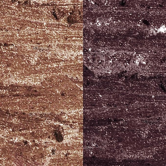 LAURA GELLER NEW YORK Kajal Longwear Kohl Eyeliner Pencil Duo - Dark Brown & Smoky Amethyst - Caffeine and Vitamin E - Smooth & Blendable Liner - Built-In Sharpener-VivaGrace Women