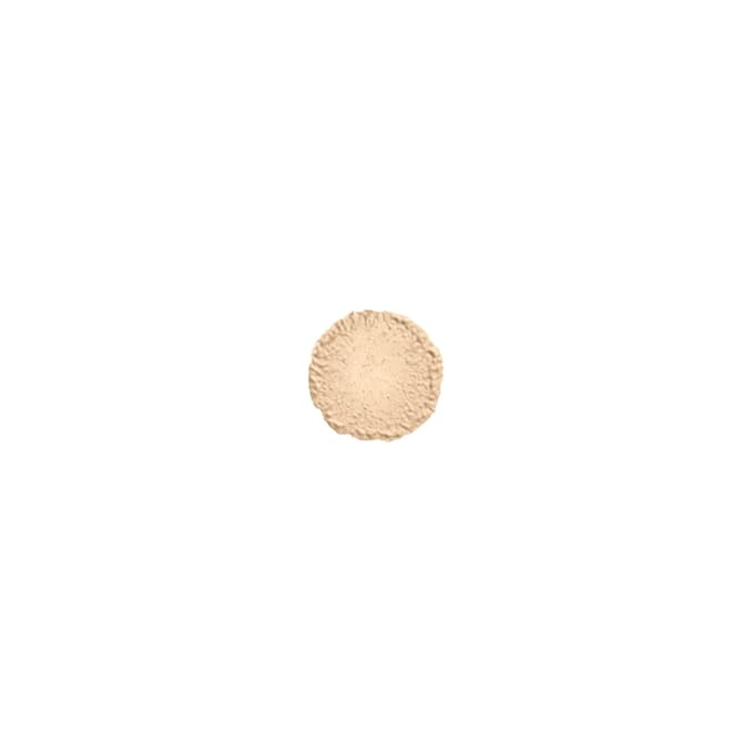 NYX PROFESSIONAL MAKEUP Born To Glow Radiant Concealer, Medium Coverage - Pale-VivaGrace Women