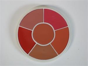 Ben Nye Media Pro HD Creme Blush Wheel CR-100-VivaGrace Women